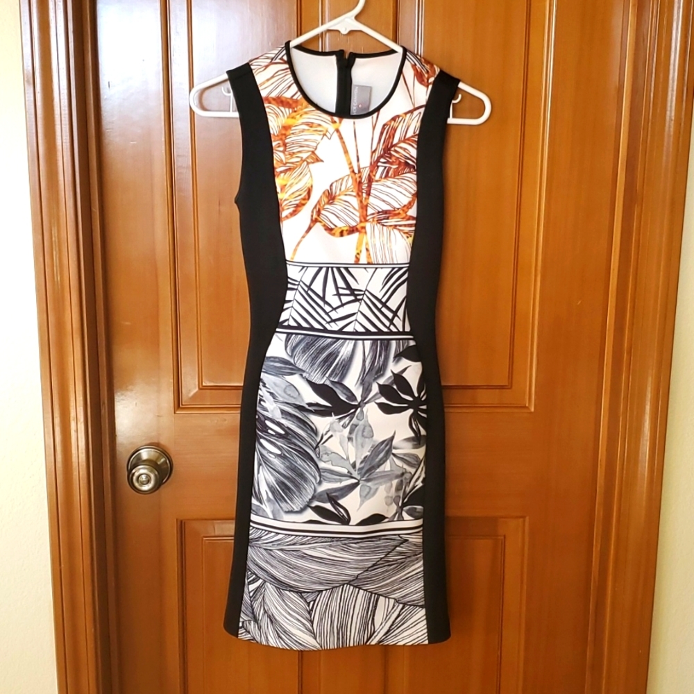 Clover Canyon Dress